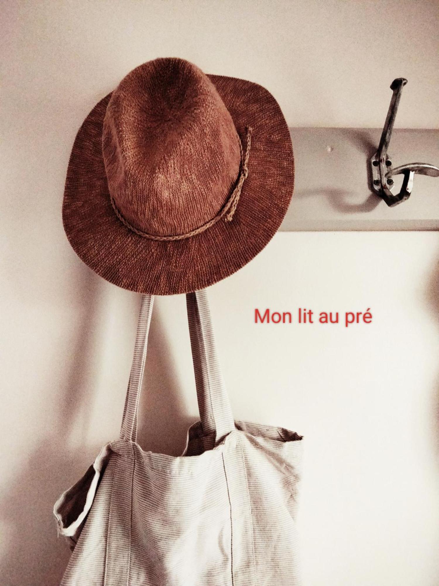 Chambre Familiale Anna "Mon Lit Au Pre" , Jusqu'A 4 Adultes Et 2 Enfants Avec Piscine Familles, Couples Ou Femmes Seulement Pontours Eksteriør billede